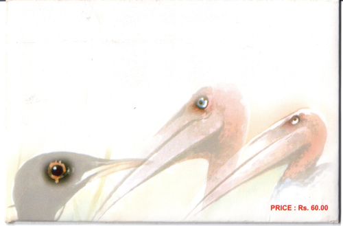 India 2006 Set of 4 Maxi Cars Endangered Birds of India Maximum Cards - Picture 4 of 4