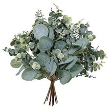 10 Pcs Mixed Eucalyptus Leaves Stems Bulk Artificial Silver Dollar Picks Faux
