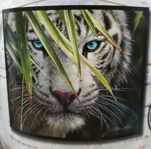 TIGER    Royal Plush▪︎Raschel▪︎Throw Blanket▪︎Soft Warm▪︎Washable▪︎Sz 50X60▪︎NEW - Bild 2 von 6