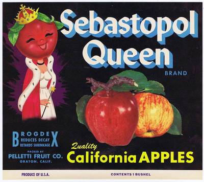 Sebastopo original california apple crate label, royal, crown, pelletti fruit co