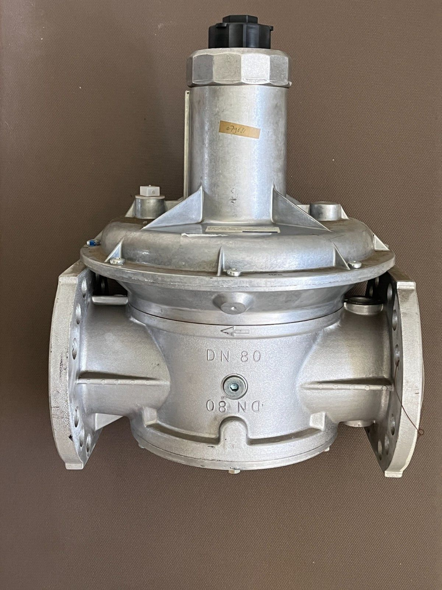 DUNGS FRS 5080 new