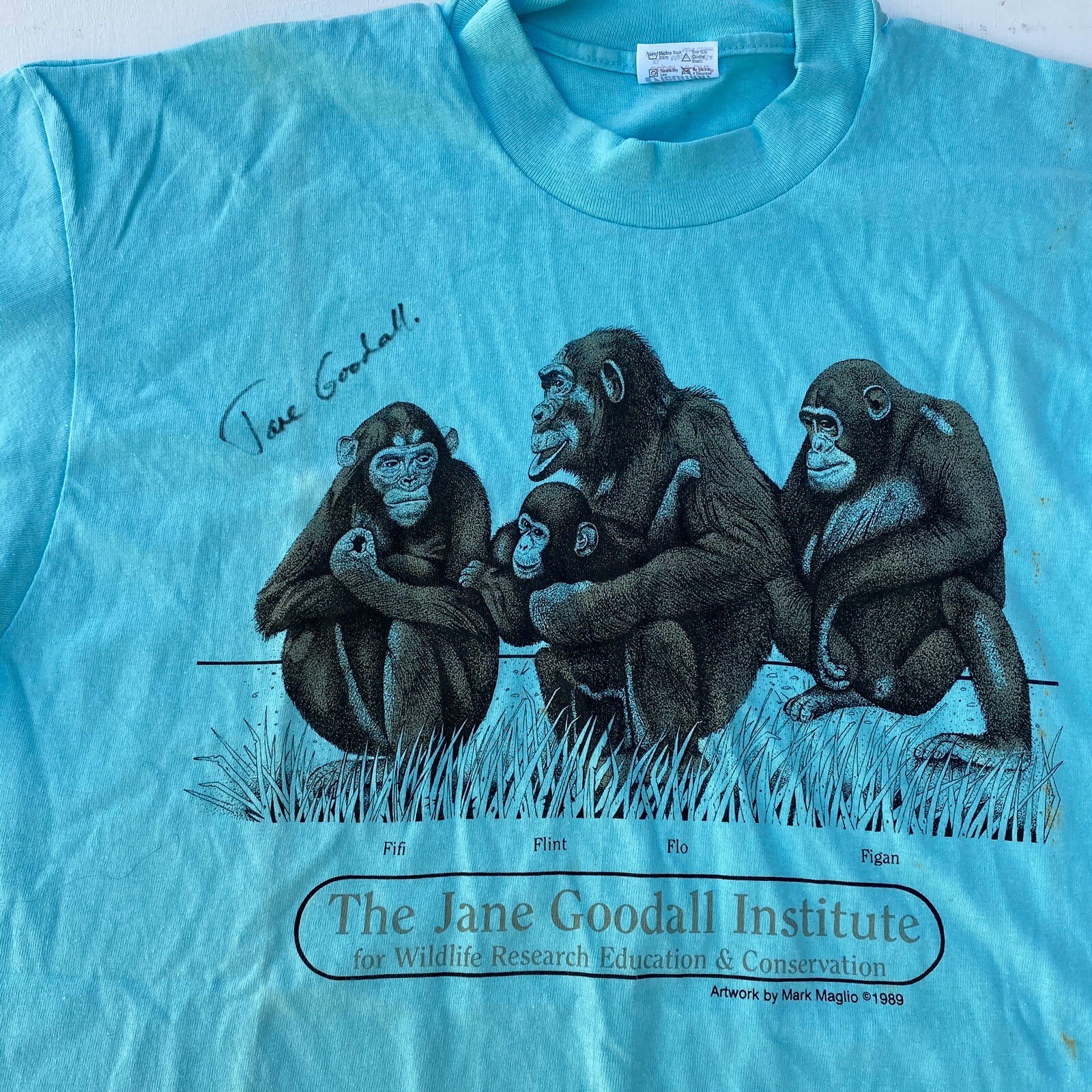 Vintage Jane Goodall Institute Vintage 