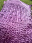 Genuine Wild Alligator Hornback Professionally Tanned — photo 9