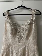 Pink Undertone Wedding Dress, Laced With A Mermaid Fit, Beaded Back Necklace.