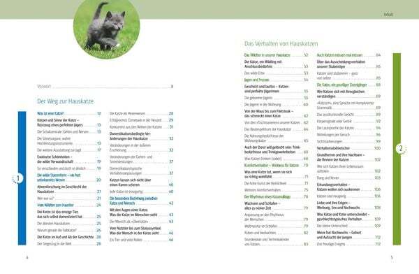 Thumbnail - Was Katzen Wirklich Wollen