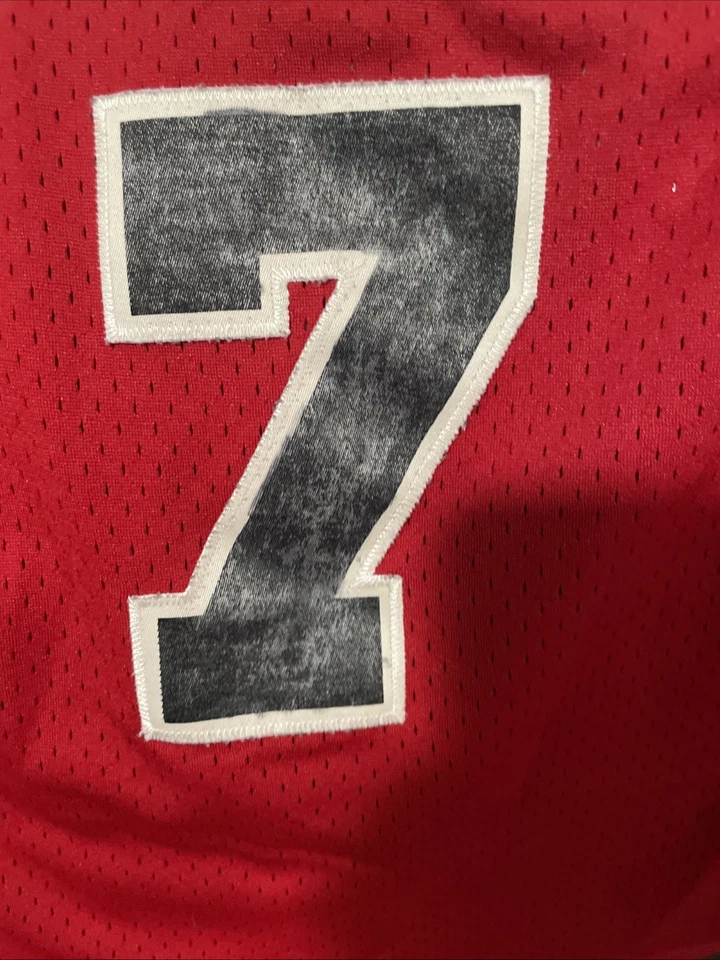 Camiseta Ben Gordon Chicago Bulls Reebok Vintage Swingman NBA Baloncesto Talla S Foto 4 de 4