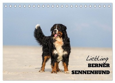 Liebling BERNER SENNENHUND (Tischkalender 2027 DIN A5 quer), CALVENDO Monatskale