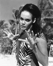 Martine Beswick Thunderball James Bond Busty Zebra Print Swimsuit 8x10 Photo
