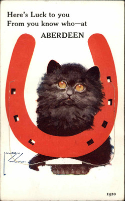 #ad ABERDEEN ABERDEENSHIRE Pullout Fold Open 12 Views A s LAWSON WOOD BLACK CAT PC $11.83