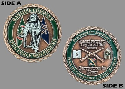 Banshee Company Task Force Wolfhound Challenge Coin  M#7