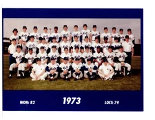 1973 NEW YORK METS  8X10 TEAM PHOTO REPRINT BASEBALL SHEA