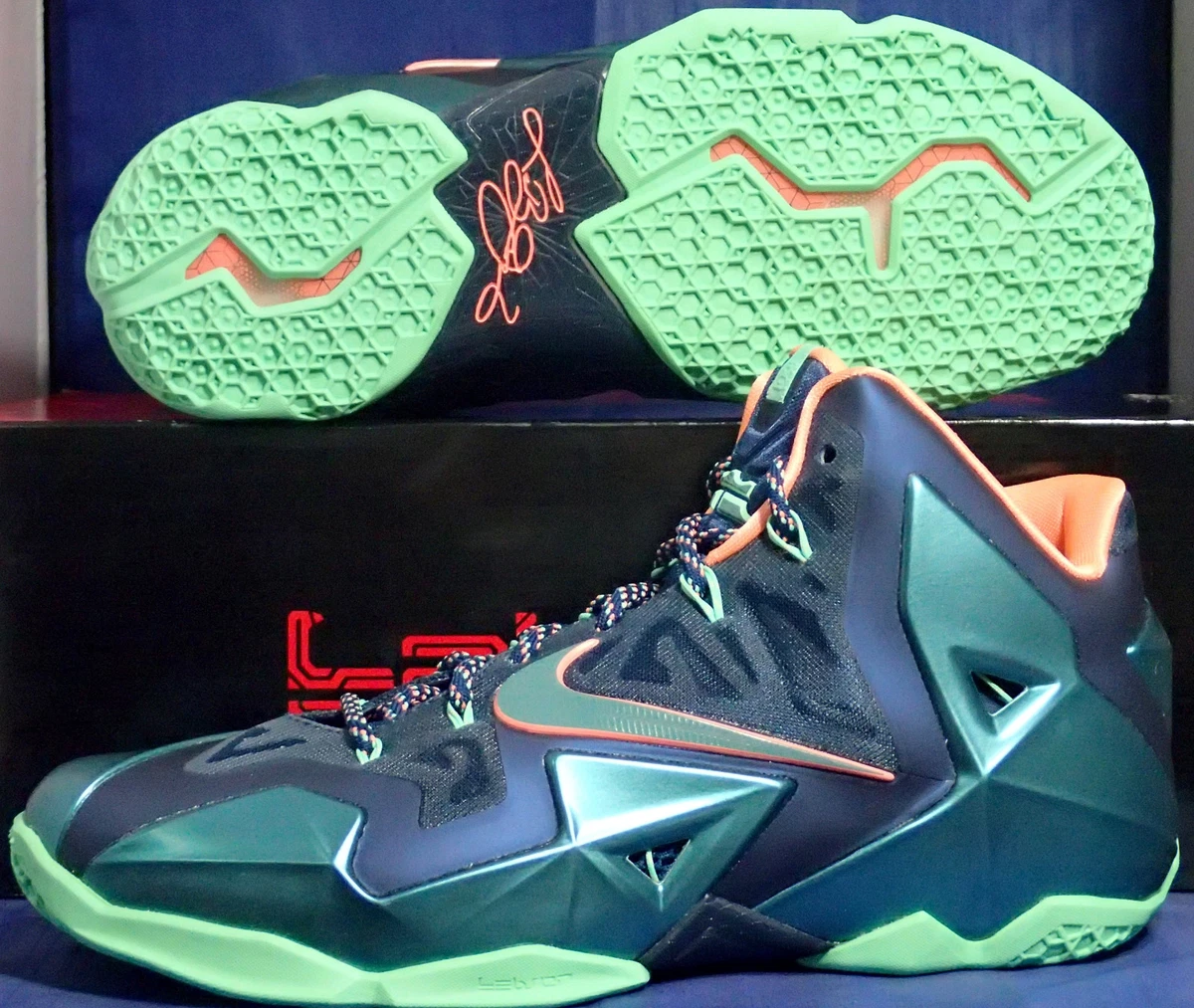 Lebron 2024 11 2013
