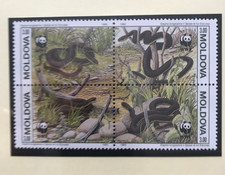 Moldova 1993 Set WWF Aesculapian Snake MNH Block of 4