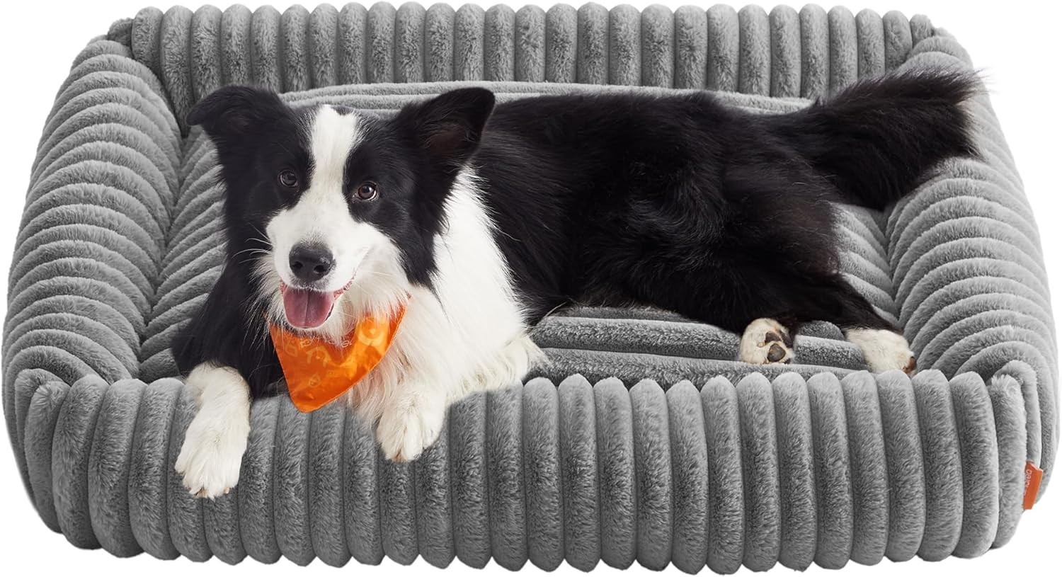 Coussin chien soulagement articulations grand panier mousse mémoire de forme