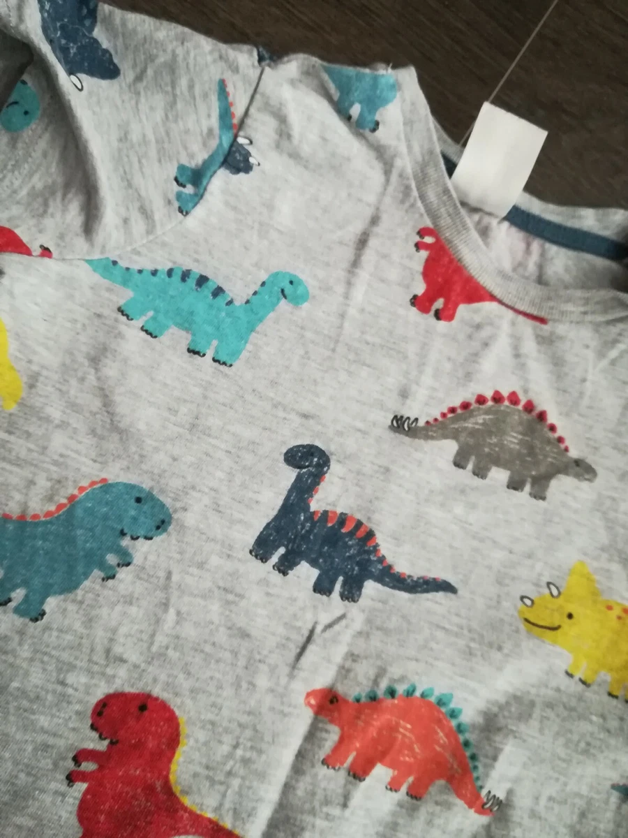 H&m top dinosaur shirt