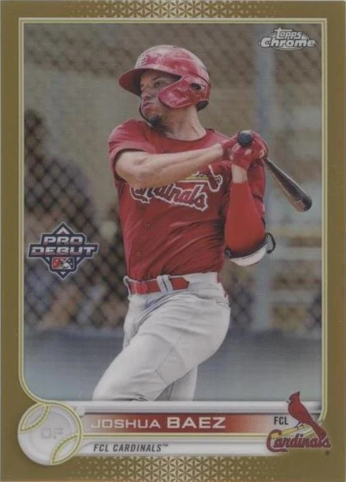 Gold Refractor