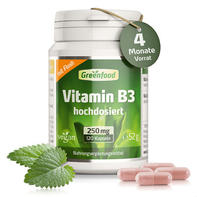 Vitamin B3 (Niacin), 250 mg, extra hochdosiert, 120 Kapseln   vegan