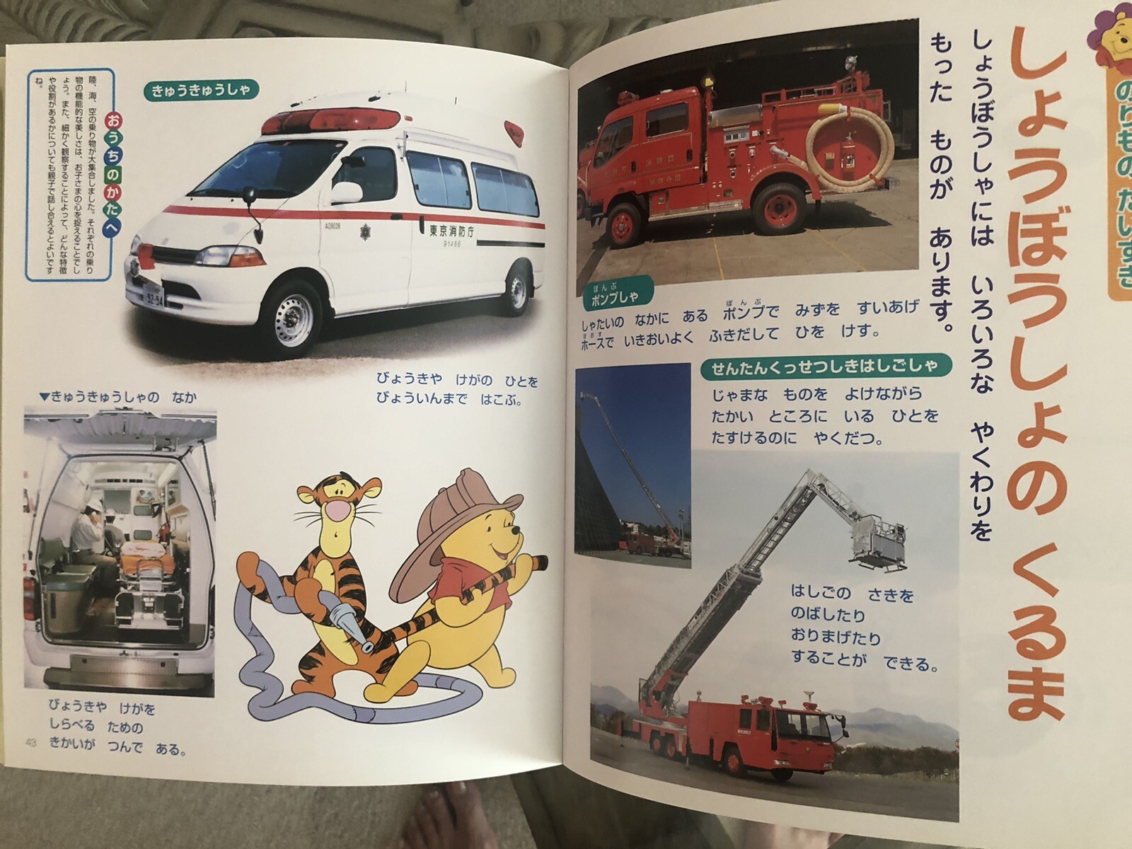 Playhouse Disney Japanese Children’s Book 3 Years Old ディズニー知育ブック 3歳 絵本