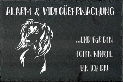 SALUKI Hundewarnschild Hundeschild Warnschild SCHIEFER Türschild NEU #98