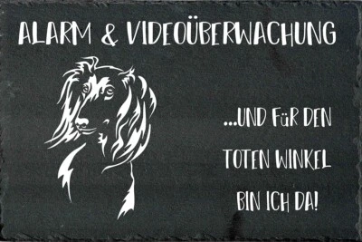 SALUKI Hundewarnschild Hundeschild Warnschild SCHIEFER Türschild NEU #98 - Bild 1 von 3