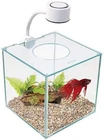 CUBUS Glass Betta Kit – Elegant Glass Aquarium for Homes or Offices