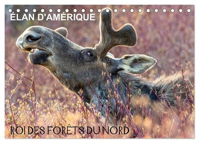ÉLAN D'AMÉRIQUE - ROI DES FORÊTS DU NORD (Calendrier de bureau 2026 DIN A5 verti