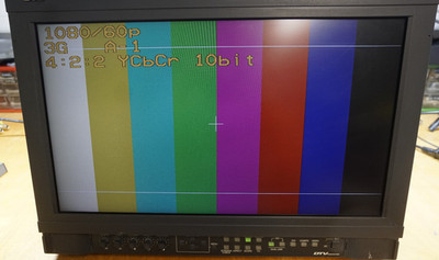 JVC Multiformat LCD Monitor DT-V17G1