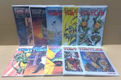 Teenage Mutant Ninja Turtles 20-29 Mirage Studios 1989 Ten Straight Issues!