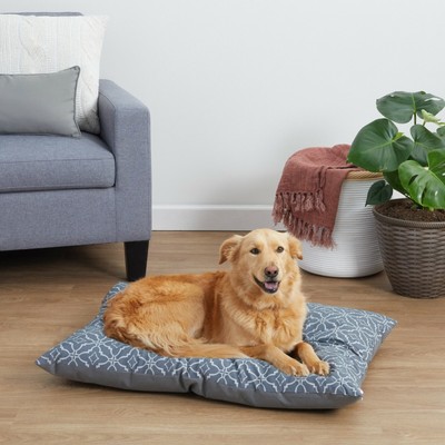 vibrant dog bed