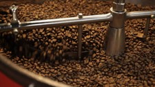 3 LB AFRICA SAMPLE PACK KENYA, ETHIOPIA, TANZANIA PEABERRY ROASTED COFFEE