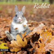 Rabbits 2026 Wall Calendar, Hangable Monthly Planner, 12" x 24"