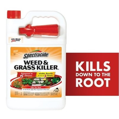 Spectracide Weed and Grass Killer 128 Oz Sprayer Ready-to-use 1 Gallon
