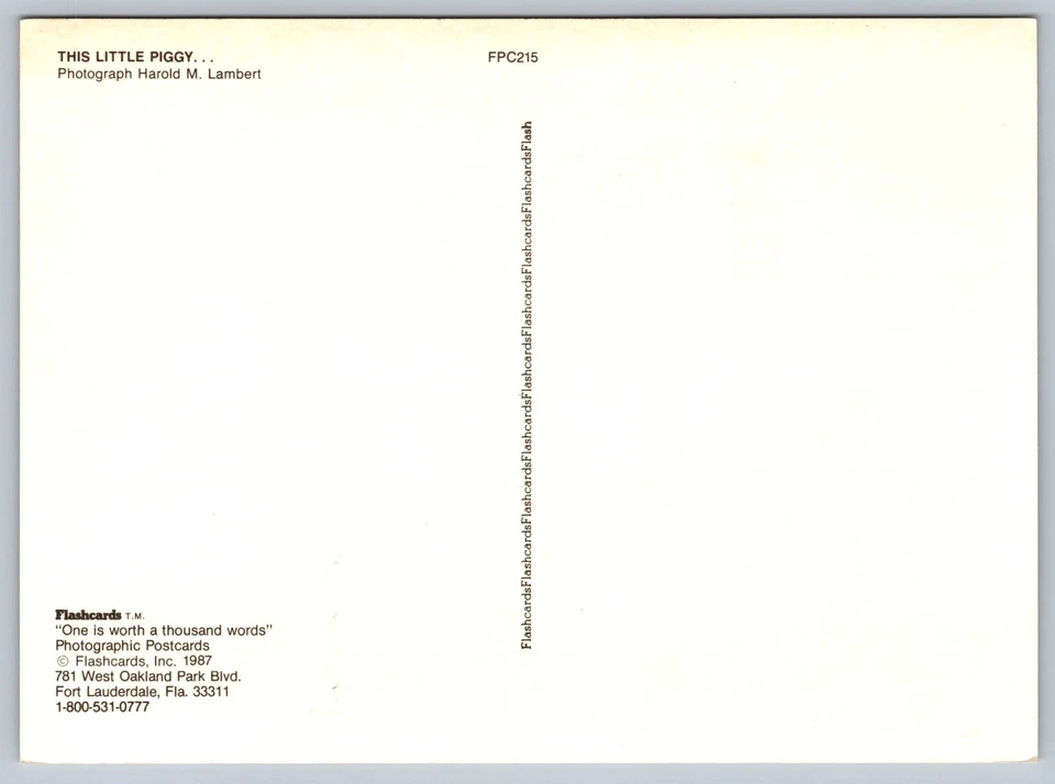 3895l Chinese Lunar New Year Boar FDC Maxi Card - Image 2 of 2