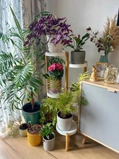 Multi Tier Corner Plant Stand Outdoor Indoor Flower Shelf Rack Wooden Home Decor