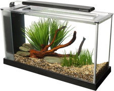 SPEC Aquarium Kit, Aquarium with LED Lighting and 3-Stage Filtration System, 5-G