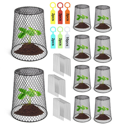 Doksving 10 Pcs 6.87.4 Multiple Sizes/Quantities Available Seedling Plant