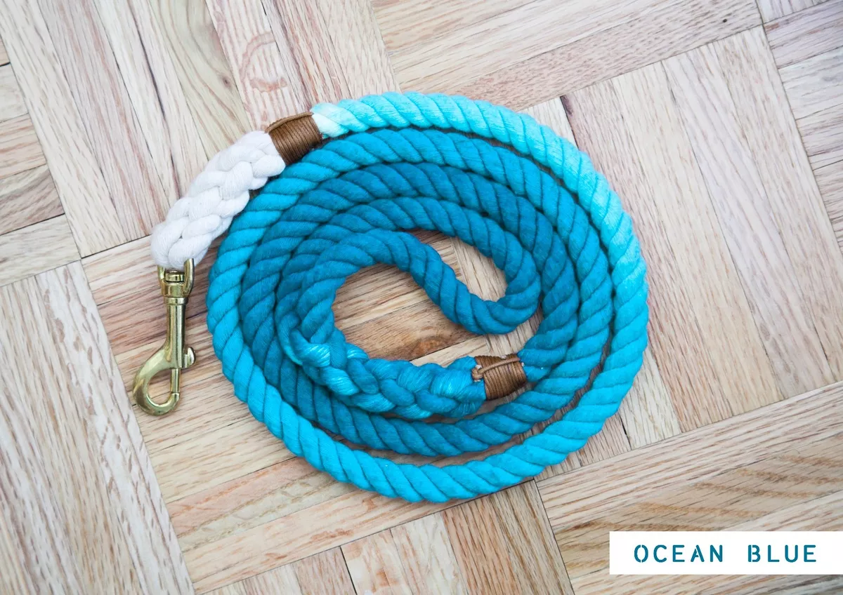 Ombre dog leash sale