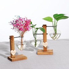 Terrarium en tube à essai avec support en bois, jardinière, centres de table