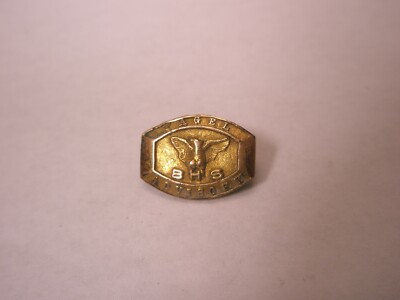 BHS Pagel Advisory Vintage TINY SMALL Tie Tack Lapel Pin m96
