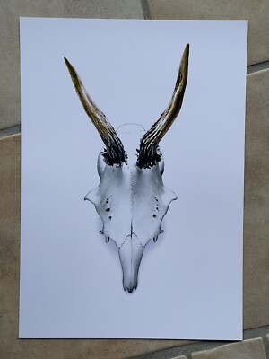 Kunstdruck Hirsch Geweih Hirschgeweih, Reh Bild, A3, Kunstdruck