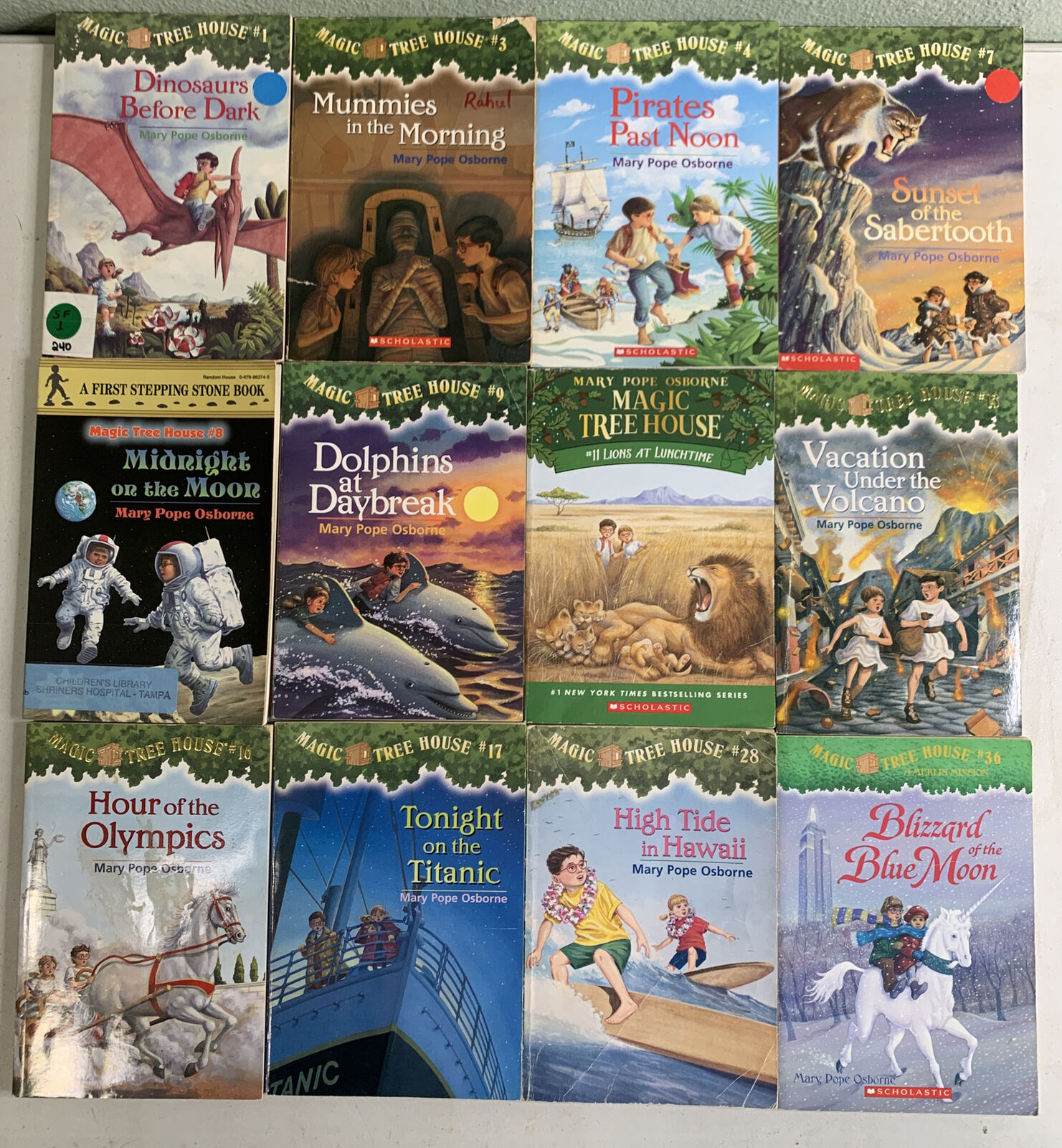 Magic Tree House Lot of 10 Children's Books #2,4,6,16,18,24,26,39,40 +  Guide