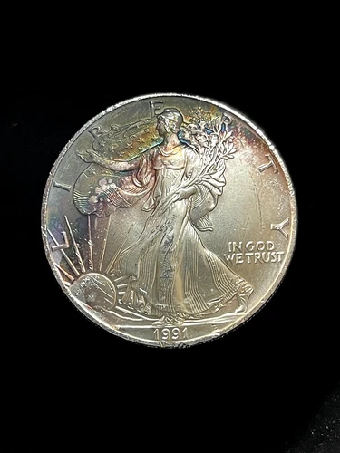 1991 American Silver Eagle Uncirculated 1oz .999 Fine $1 Monster Toning