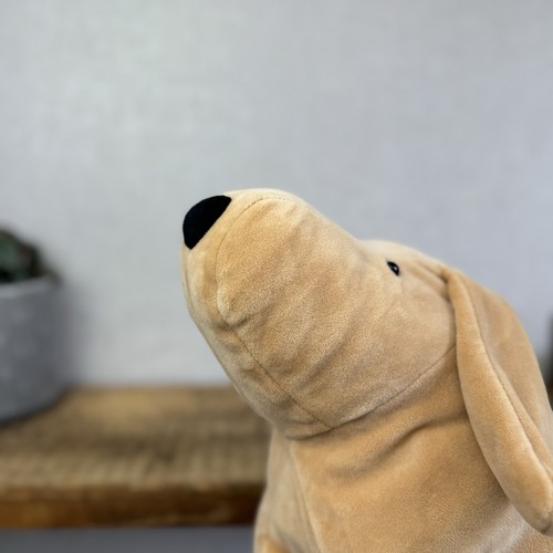 Jellycat Large Mellow Mallow Dog - Beige/Sand Squishy Dog Soft Beanie Toy 12" - Picture 3 of 18