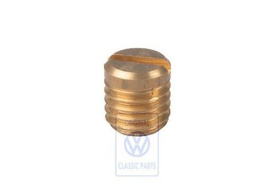 Vag Plug Screw For Beetle Golf Jetta Polo Scirocco T2 T3 Genuine 113129419