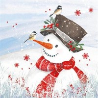 20 Servietten Olaf The Snowman Schneemann Lustig VöGel Tiere Weihnachten 33X33Cm