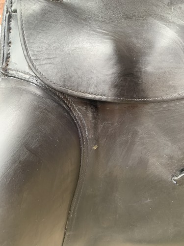 dressursattel Kieffer Ulla Salzgeber 17,5 - Bild 7 von 8