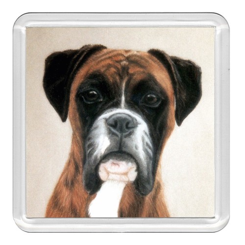 SCHLEICH 16391 – Boxer Welpe, Detailreiche Spielzeugfigur, Ca. 3,5 X 1,5 X 4 Cm