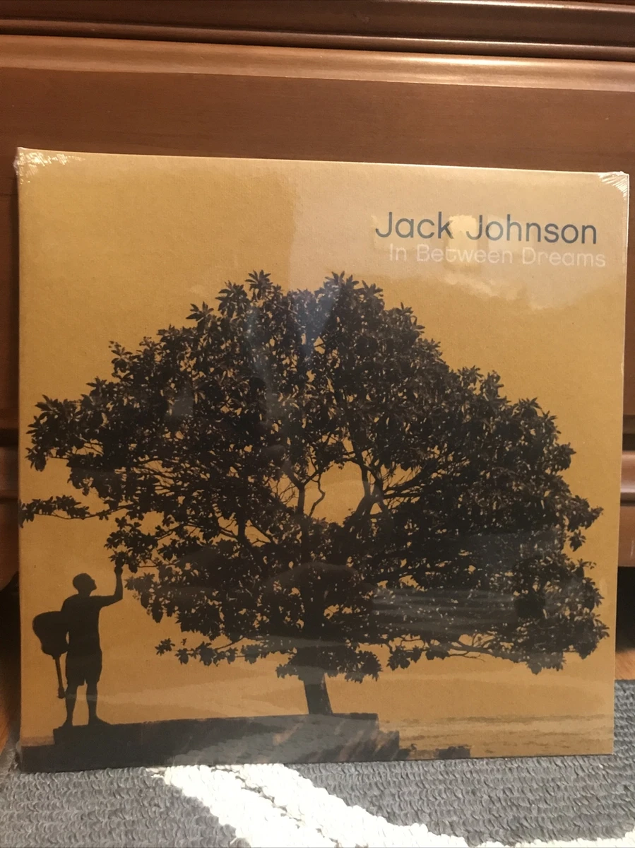 Jack johnson In Between Dreams LP レコード