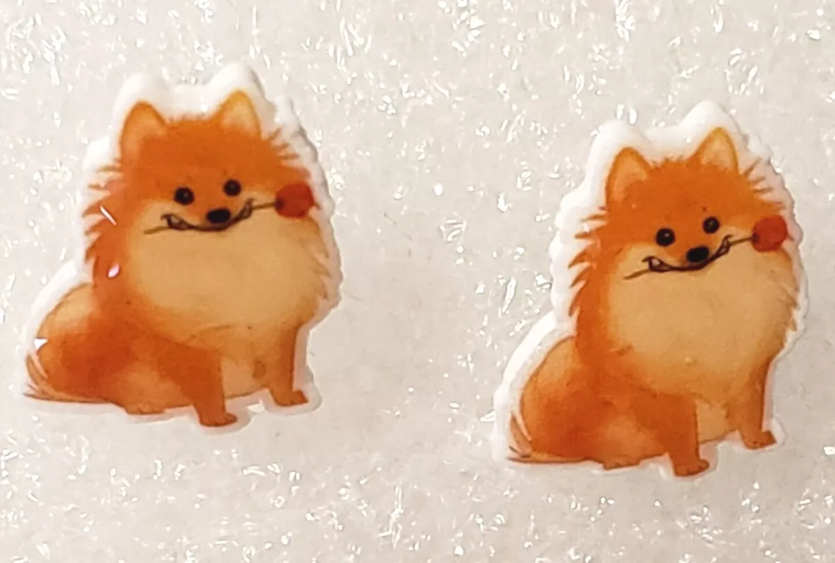 Pomeranian stud on sale