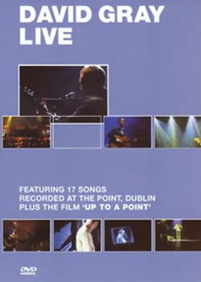 David Gray - Live